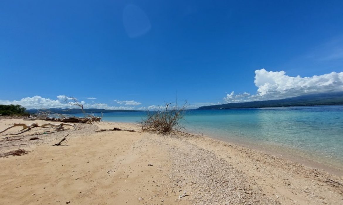 Pulau Tabuhan Banyuwangi – Pesona, Aktivitas Piknik, Lokasi & Biaya Wisata