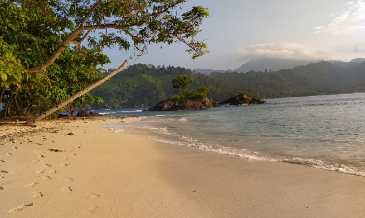 Teluk Kiluan Lampung – Pesona, Kegiatan Piknik & Lokasi