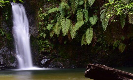 Air Terjun Batu Dinding, Nirwana Alam Tersembunyi Nan Eksotis Di Kampar