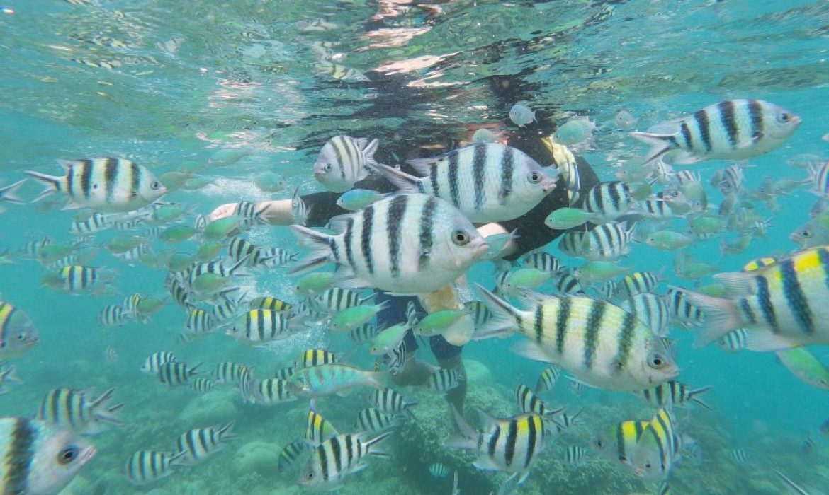 Gili Nanggu Lombok, Pulau Anggun Nan Eksotis Surganya Pecinta Snorkeling