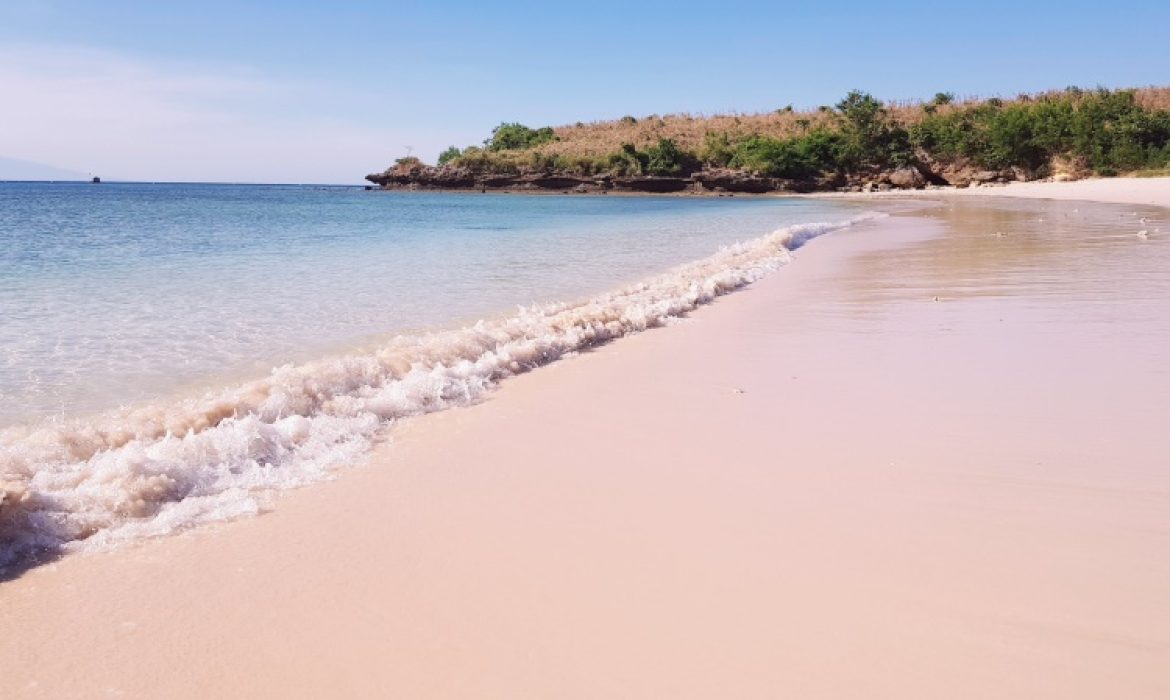 Pantai Pink Lombok – Pesona, Acara Piknik, Lokasi & Harga Tiket