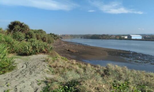 10 Rekreasi Pantai Di Cianjur Yang Paling Hits