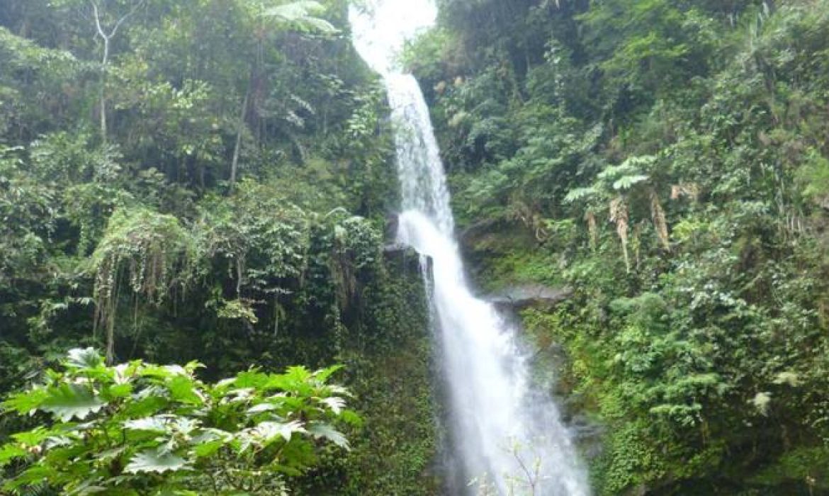 20 Gerojokan Di Malang Yang Terkenal & Terindah