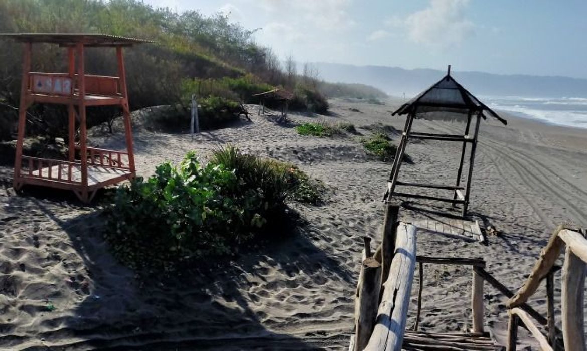 Pantai Cemara Sewu, Pantai Dengan Panorama Alam Memukau Di Bantul Jogja