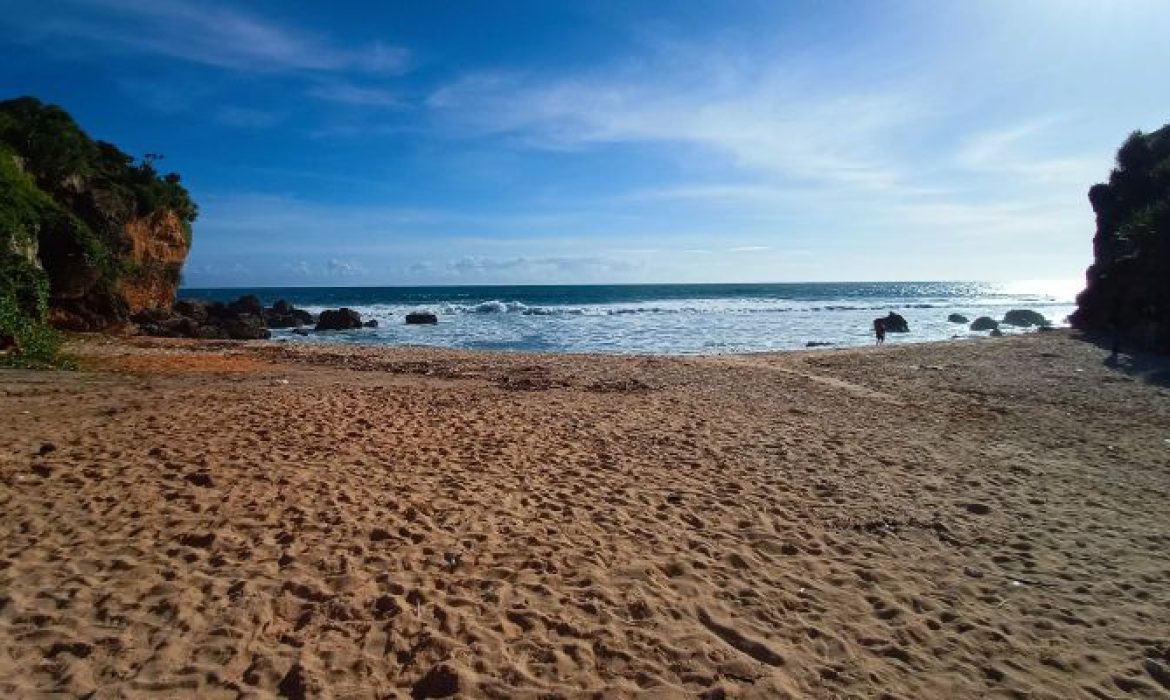 Pantai Ngeden, Pesona Pantai Indah Nan Mempesona Di Gunung Kidul