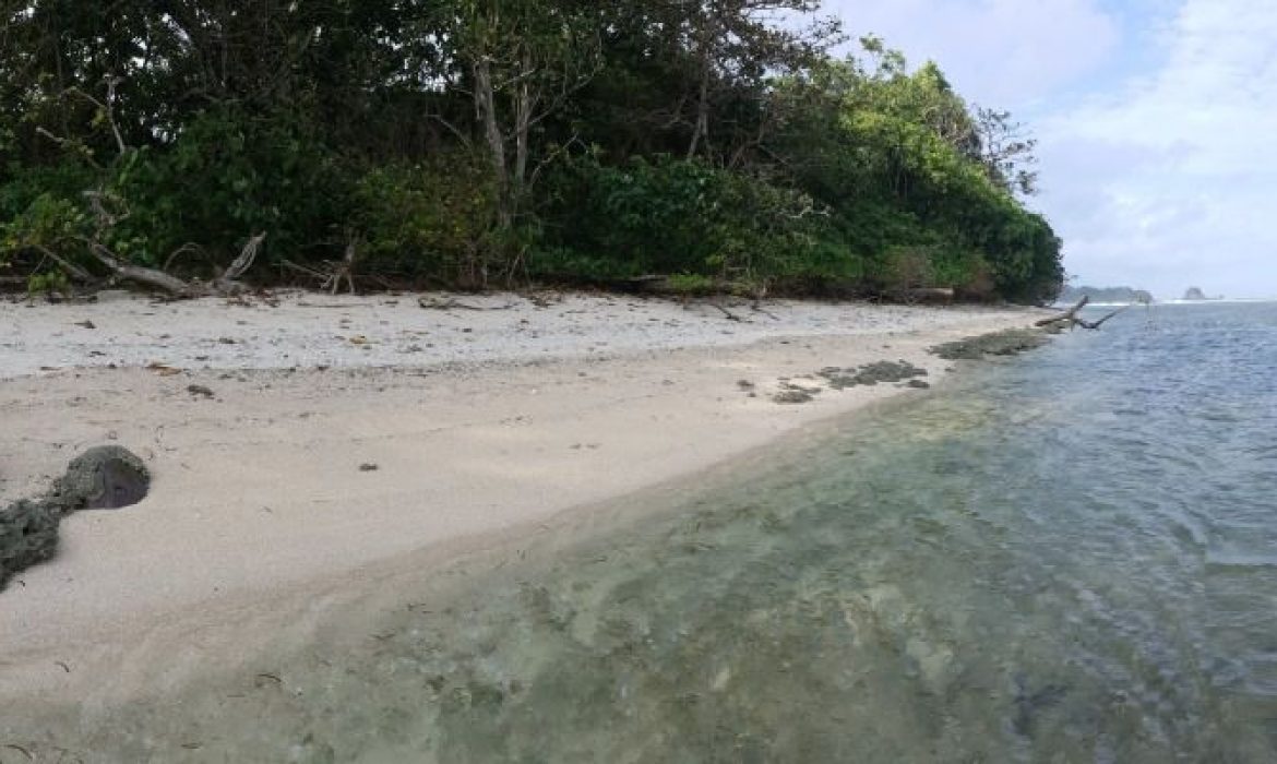 Pantai Sancang, Pantai Indah Dengan Pemandangan Alam Memukau Di Garut