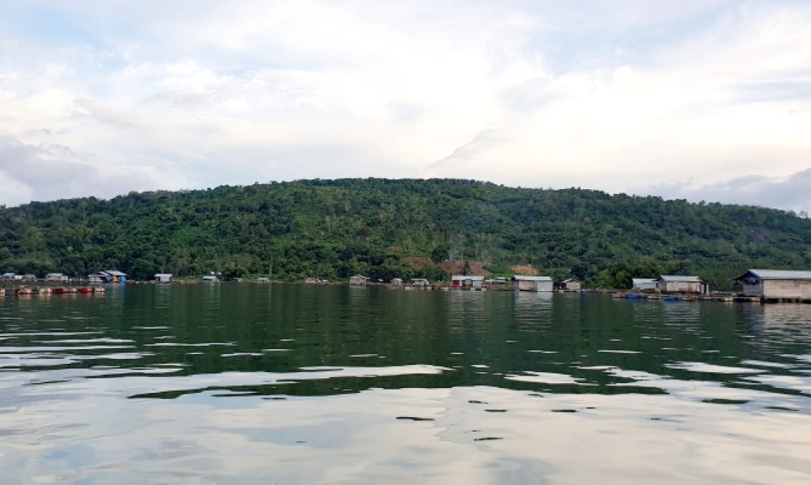 Pulau Pinus Aranio, Pesona Alam Eksotis Nan Menawan Di Banjar