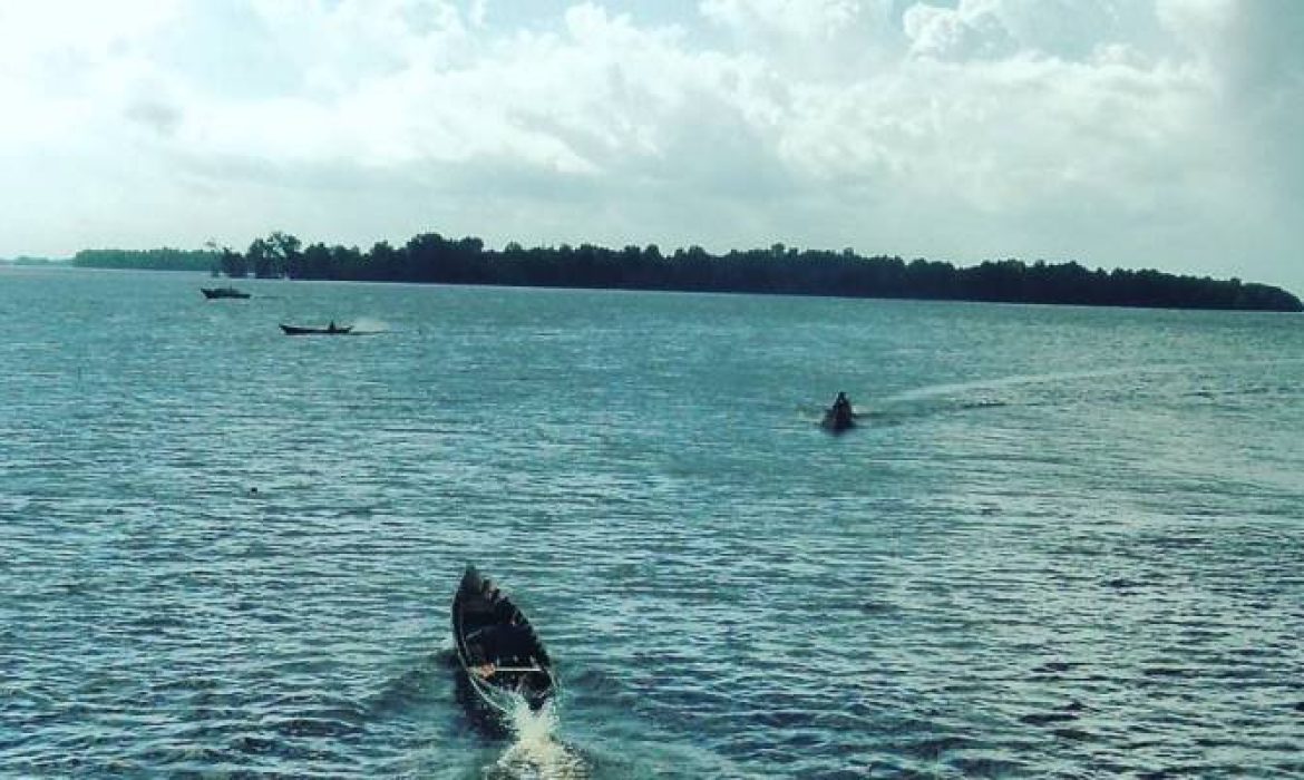 Pulau Kaget, Menyusuri Rumah & Kehidupan Bekantan Di Barito Kuala