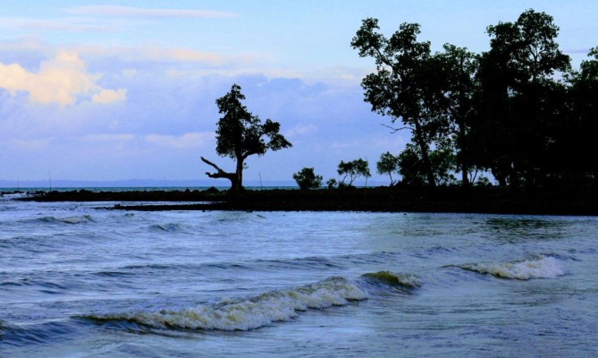 Pantai Sarang Tiung, Daya Tarik Pantai Eksotis & Hutan Mangrove Di Kotabaru